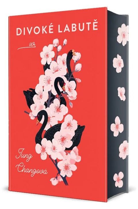 Obrázek produktu: Divoké labutě