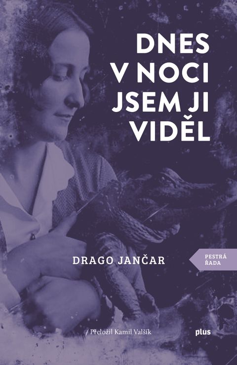 Obrázek produktu: Dnes v noci jsem ji viděl
