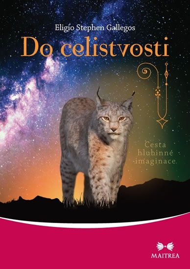 Obrázek produktu: Do celistvosti - Cesta hlubinné imaginace