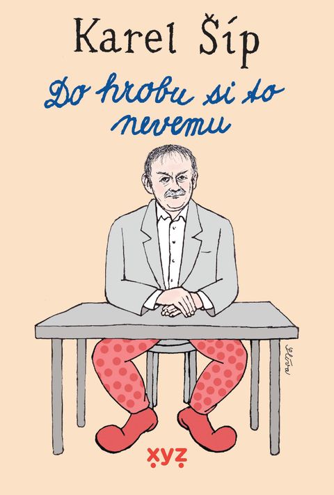 Obrázek produktu: Do hrobu si to nevemu