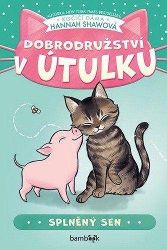 Obrázek produktu: Dobrodružství v útulku - Splněný sen