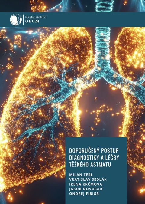 Obrázek produktu: Doporučený postup diagnostiky a léčby těžkého astmatu
