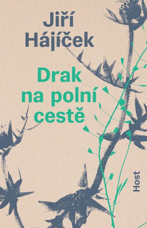 Obrázek produktu: Drak na polní cestě