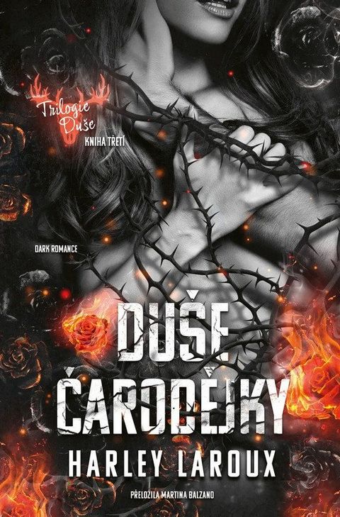 Obrázek produktu: Duše čarodějky