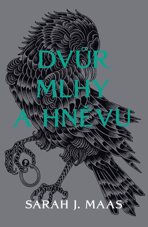 Obrázek produktu: Dvůr mlhy a hněvu