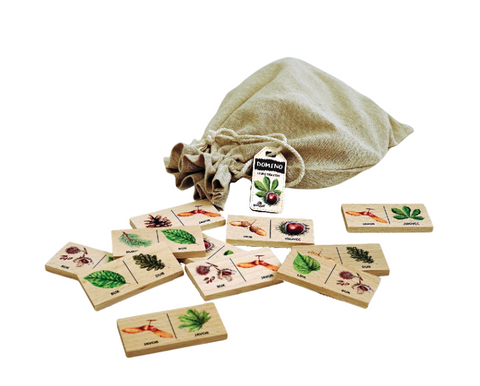 Obrázek produktu: Edukační domino - lesní dřeviny