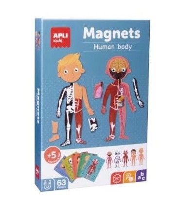 Edukační hra s magnety - Lidské tělo