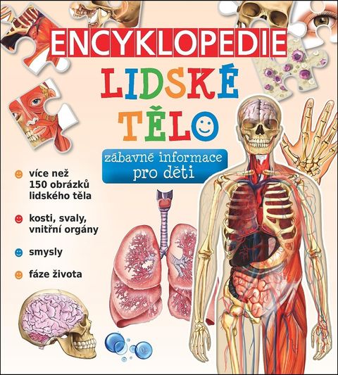 Obrázek produktu: Encyklopedie Lidské tělo