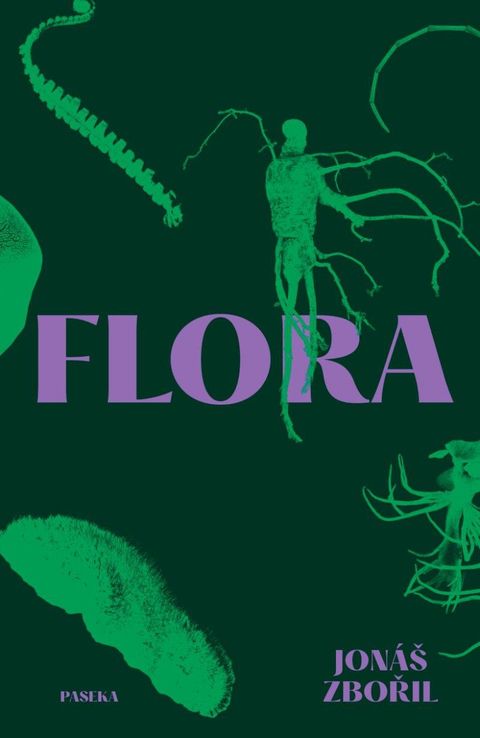 Obrázek produktu: Flora
