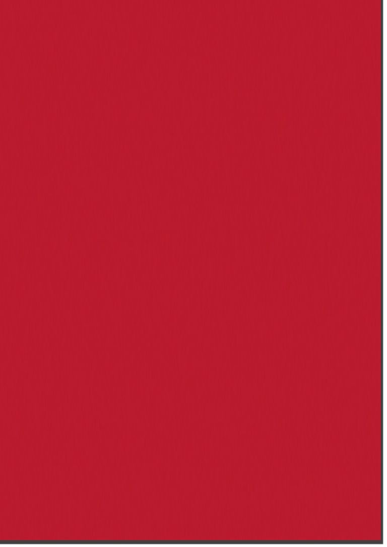 Fotokarton A4, gramáž 300 g - 10 listů - barva červená cihla