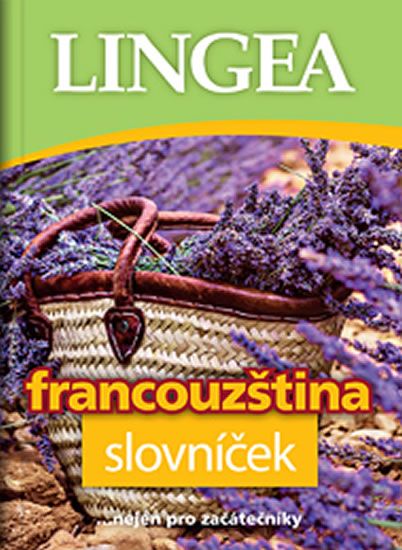 Obrázek produktu: Francouzština slovníček