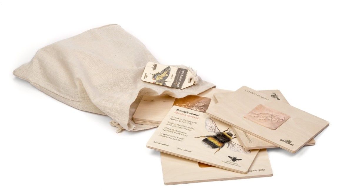 Frotážová sada - Hmyz