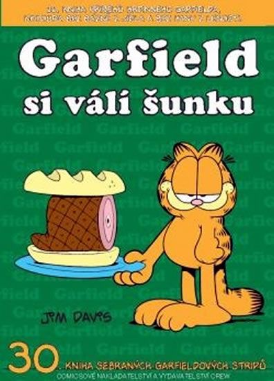 Garfield si válí šunku - Jim Davis