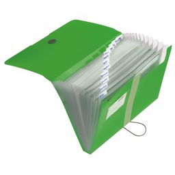Obrázek produktu: Herlitz Spisové desky A4 PP organizační, 12 přihrádek - zelené