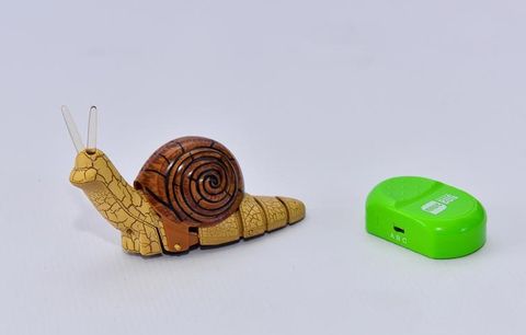 Obrázek produktu: Hlemýžď na ovládání