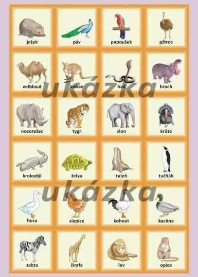 Hravá angličtina 1 - zvířátka