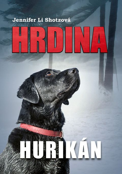 Obrázek produktu: Hrdina: Hurikán