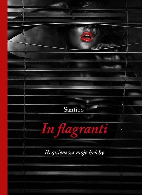 Obrázek produktu: In flagranti - Requiem za moje hříchy