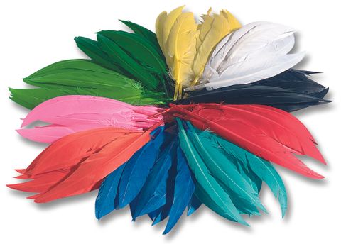 Obrázek produktu: Indiánská barevná pera - 10-20 cm, 100 g