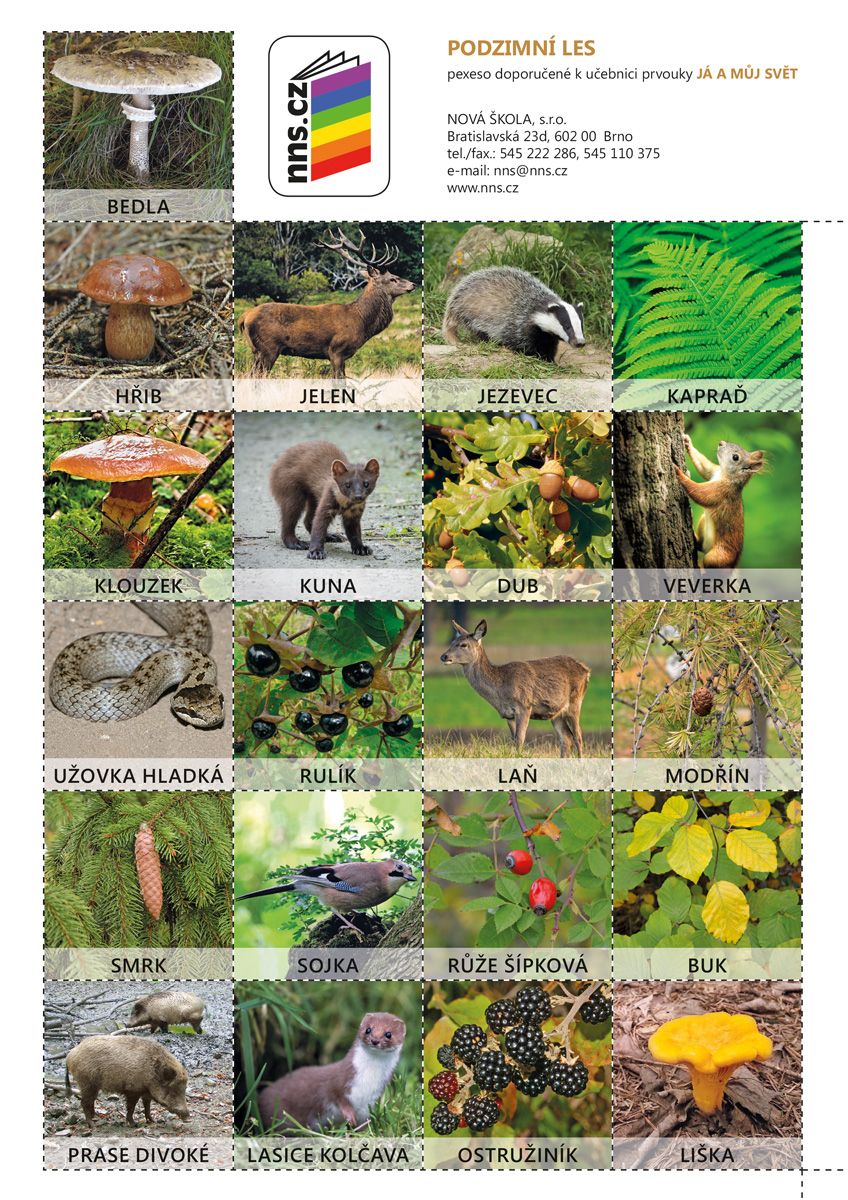 Já a můj svět - Prvouka 2 - sada pexesa