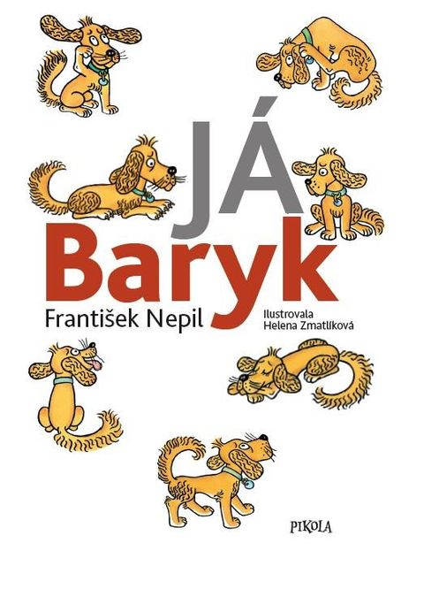 Obrázek produktu: Já Baryk