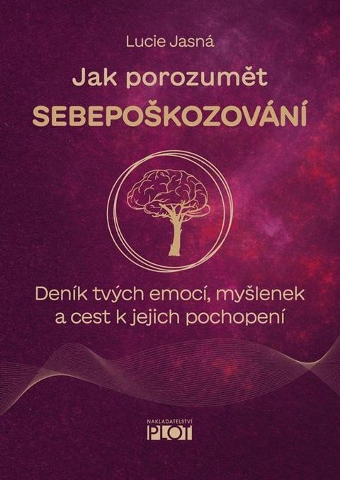 Obrázek produktu: Jak porozumět sebepoškozování - Deník tvých emocí, myšlenek a cest k jejich pochopení