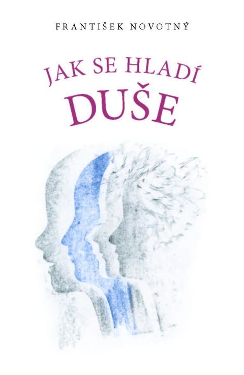 Obrázek produktu: Jak se hladí duše