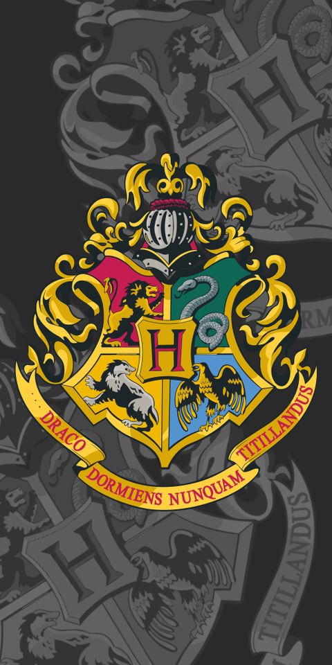 Obrázek produktu: Jerry Fabrics osuška Harry Potter 087