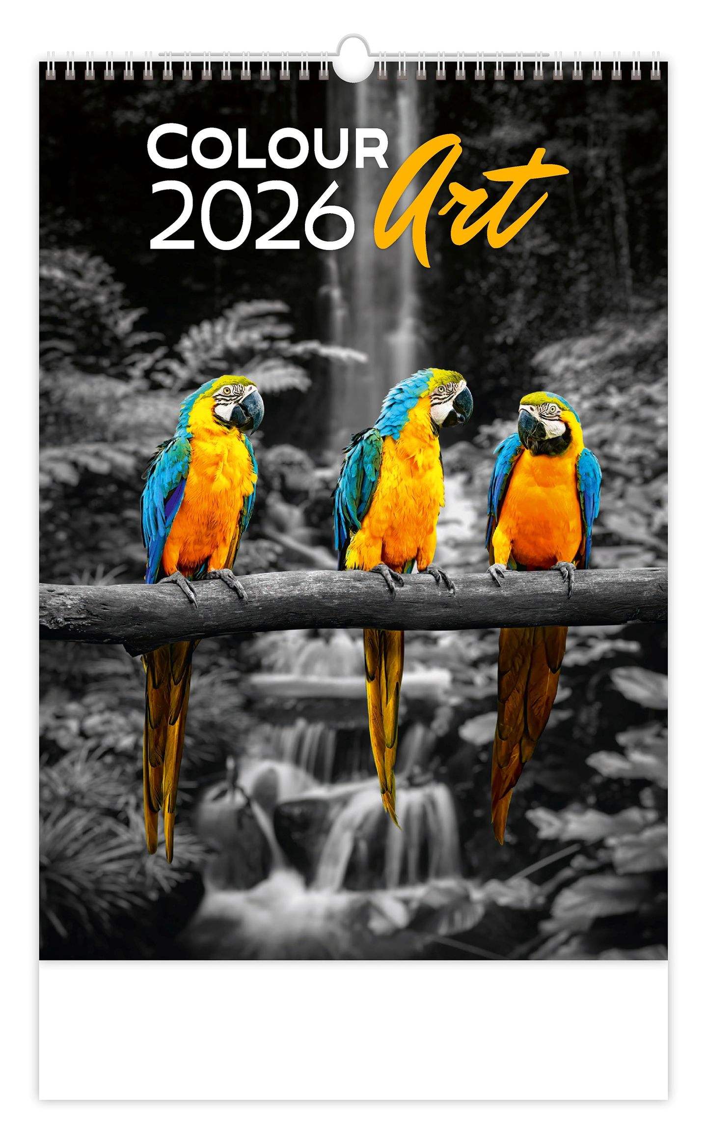 Kalendář nástěnný 2026 - Colour Art