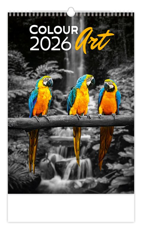 Obrázek produktu: Kalendář nástěnný 2026 - Colour Art
