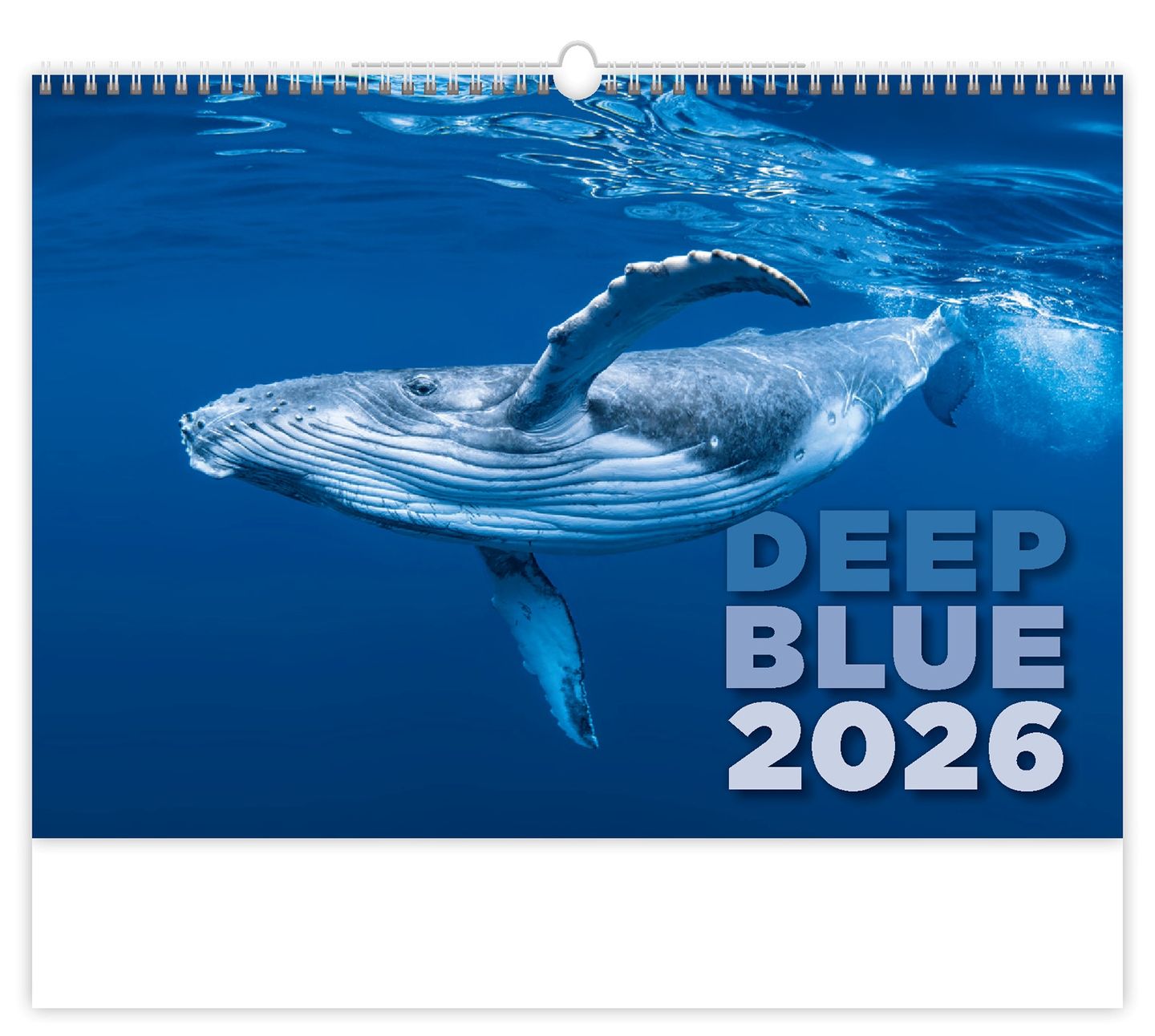 Kalendář nástěnný 2026 - Deep Blue NEW