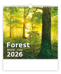 Obrázek produktu: Kalendář nástěnný 2026 - Forest/Wald/Les