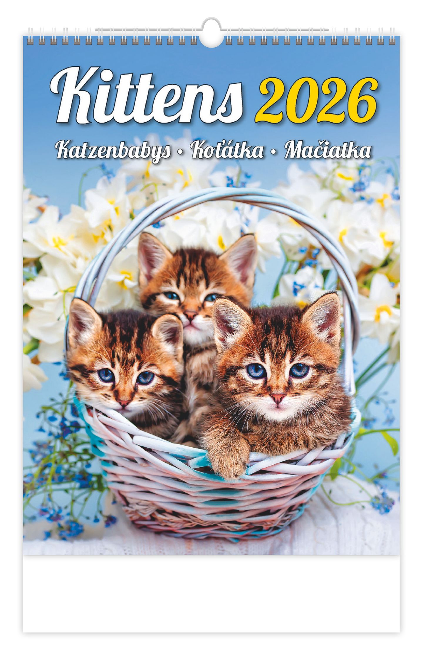 Kalendář nástěnný 2026 - Kittens/Katzenbabys/Koťátka/Mačičky