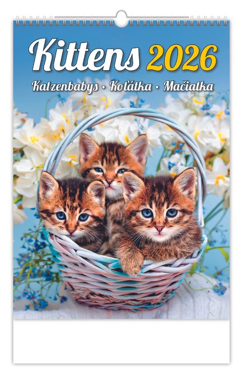 Obrázek produktu: Kalendář nástěnný 2026 - Kittens/Katzenbabys/Koťátka/Mačičky