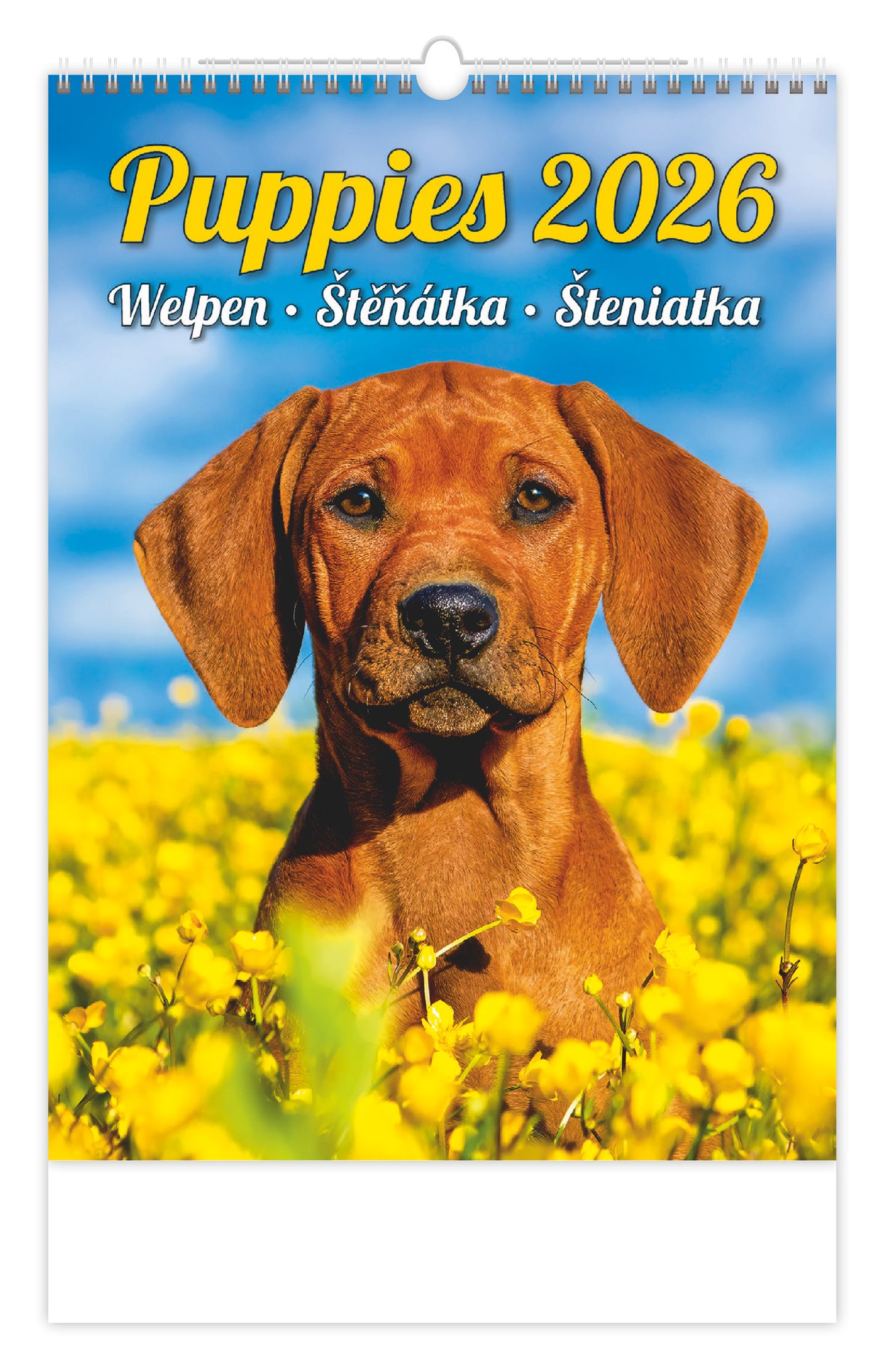 Kalendář nástěnný 2026 - Puppies/Welpen/Štěňátka/Šteniatka
