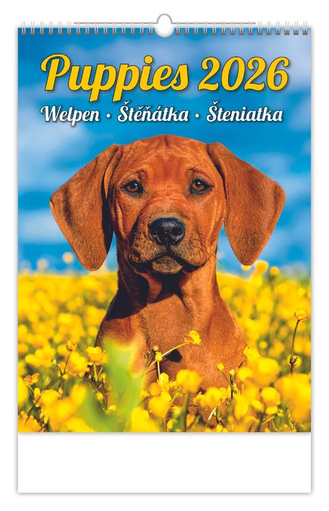 Obrázek produktu: Kalendář nástěnný 2026 - Puppies/Welpen/Štěňátka/Šteniatka