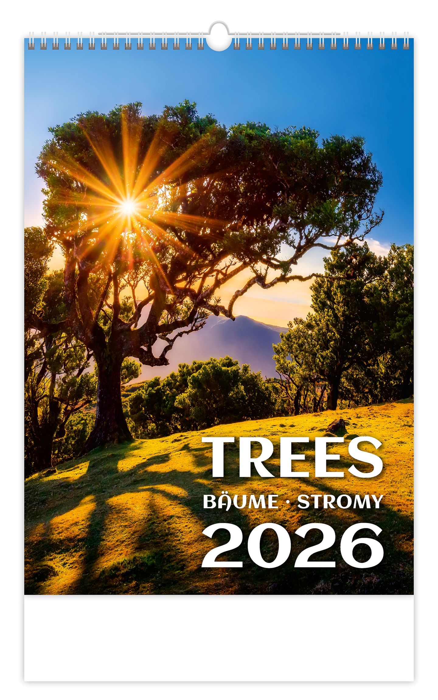Kalendář nástěnný 2026 - Trees/Bäume/Stromy