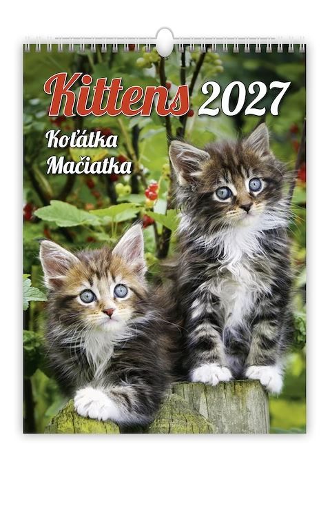 Obrázek produktu: Kalendář nástěnný 2027 - Kittens/Koťátka/Mačičky