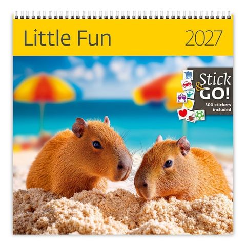 Obrázek produktu: Kalendář nástěnný 2027 Label your days - Little Fun