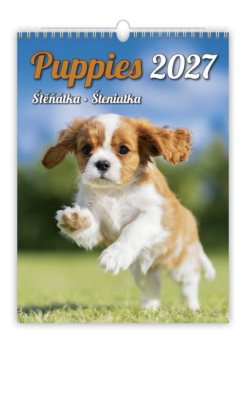 Obrázek produktu: Kalendář nástěnný 2027 - Puppies/Štěňátka/Šteniatka