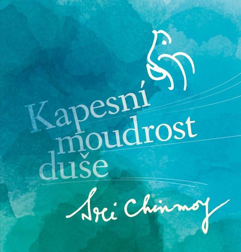 Obrázek produktu: Kapesní moudrost duše