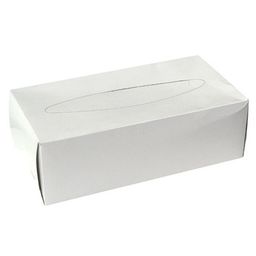 Obrázek produktu: Kapesníky v krabičce 2 vrstvé - 100 ks
