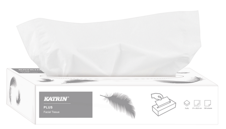 Papírové kapesníky Katrin - 2 vrstvé, 100 ks