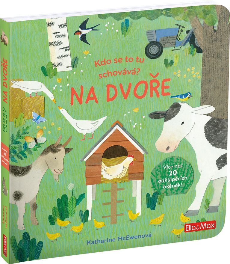 Kdo se to tu schovává? Na dvoře - Katherine McEwenová
