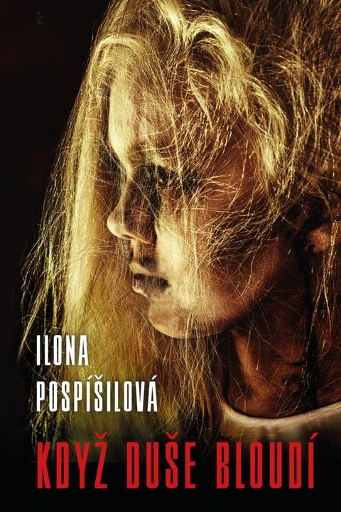 Obrázek produktu: Když duše bloudí