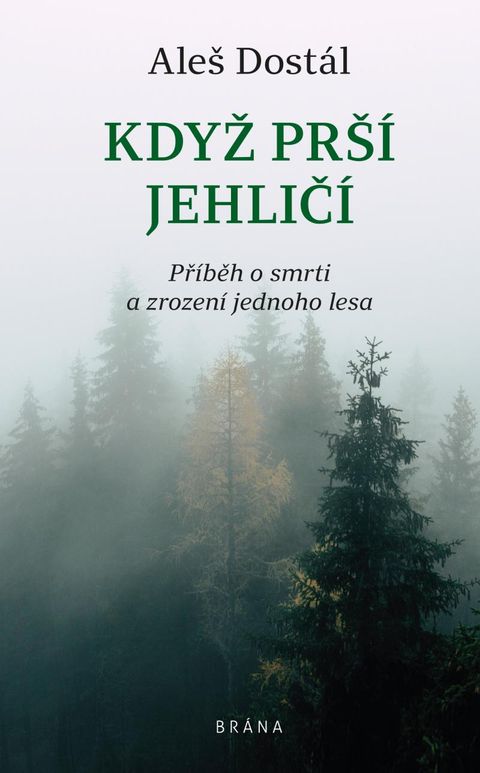 Obrázek produktu: Když prší jehličí