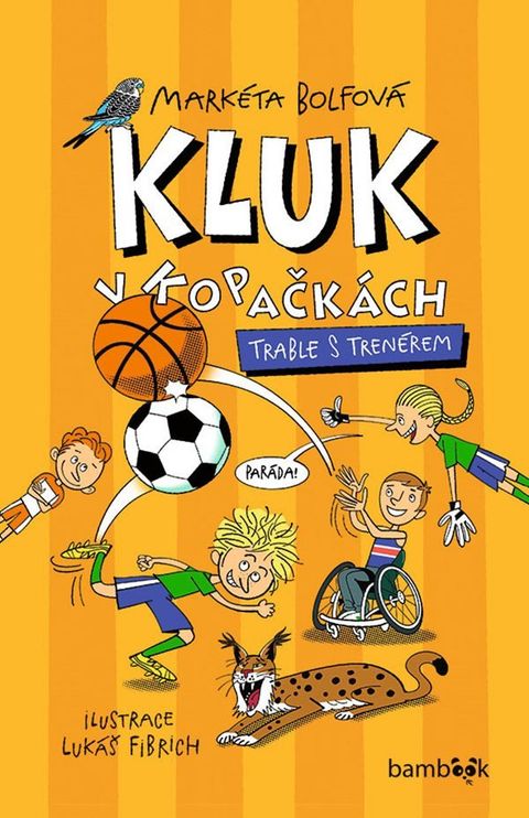 Obrázek produktu: Kluk v kopačkách 4 - Trable s trenérem