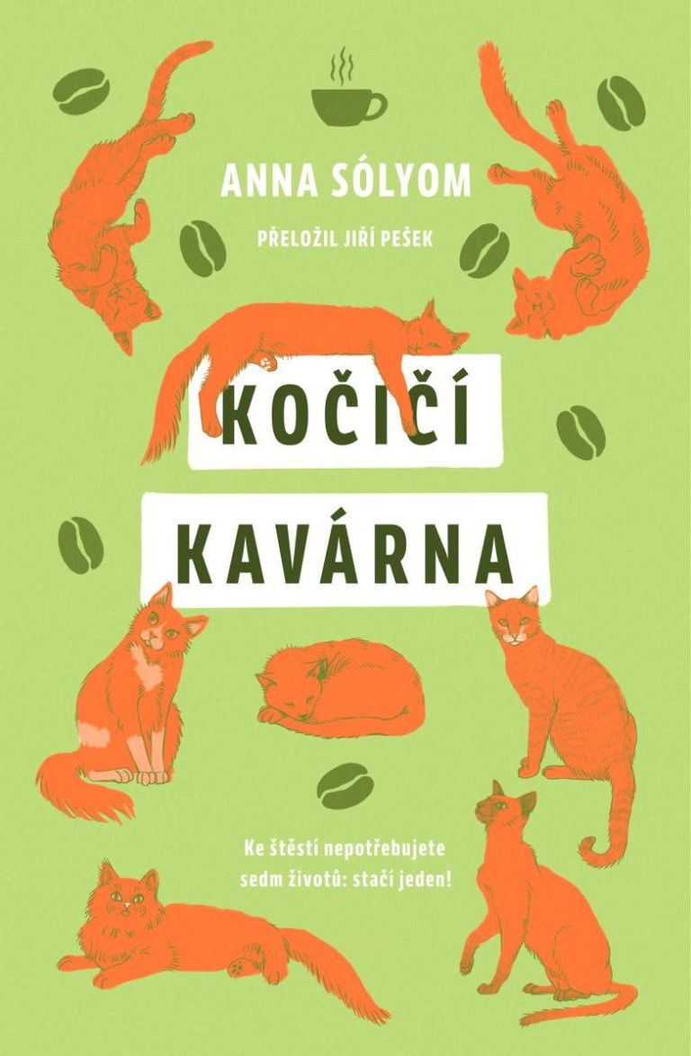 Kočičí kavárna DOBROVSKÝ s.r.o.