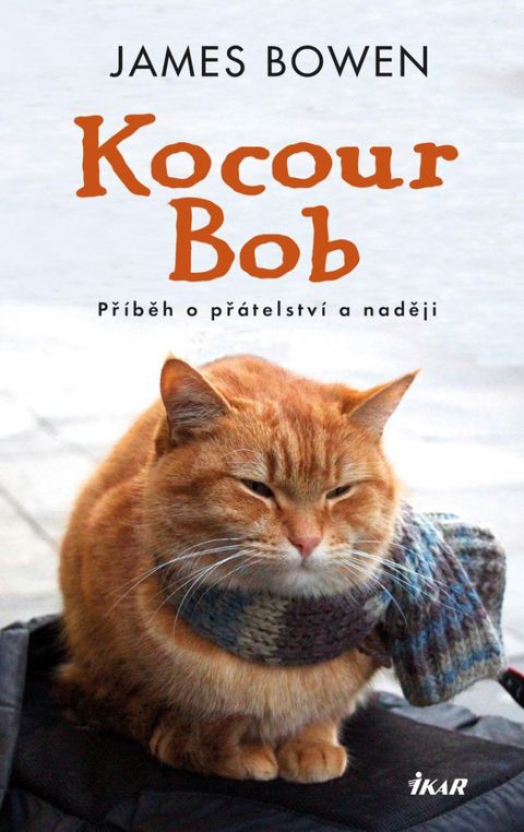 Obrázek produktu: Kocour Bob
