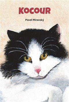 Obrázek produktu: Kocour